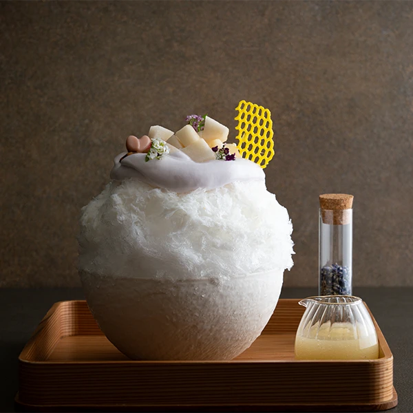 Tokyo Shaved ice | DÉGUSTATION